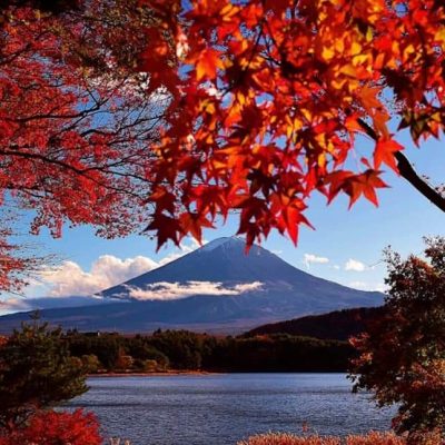 Autumn - Aki - Luruh