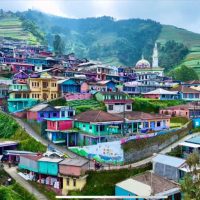 Nepal Van Java